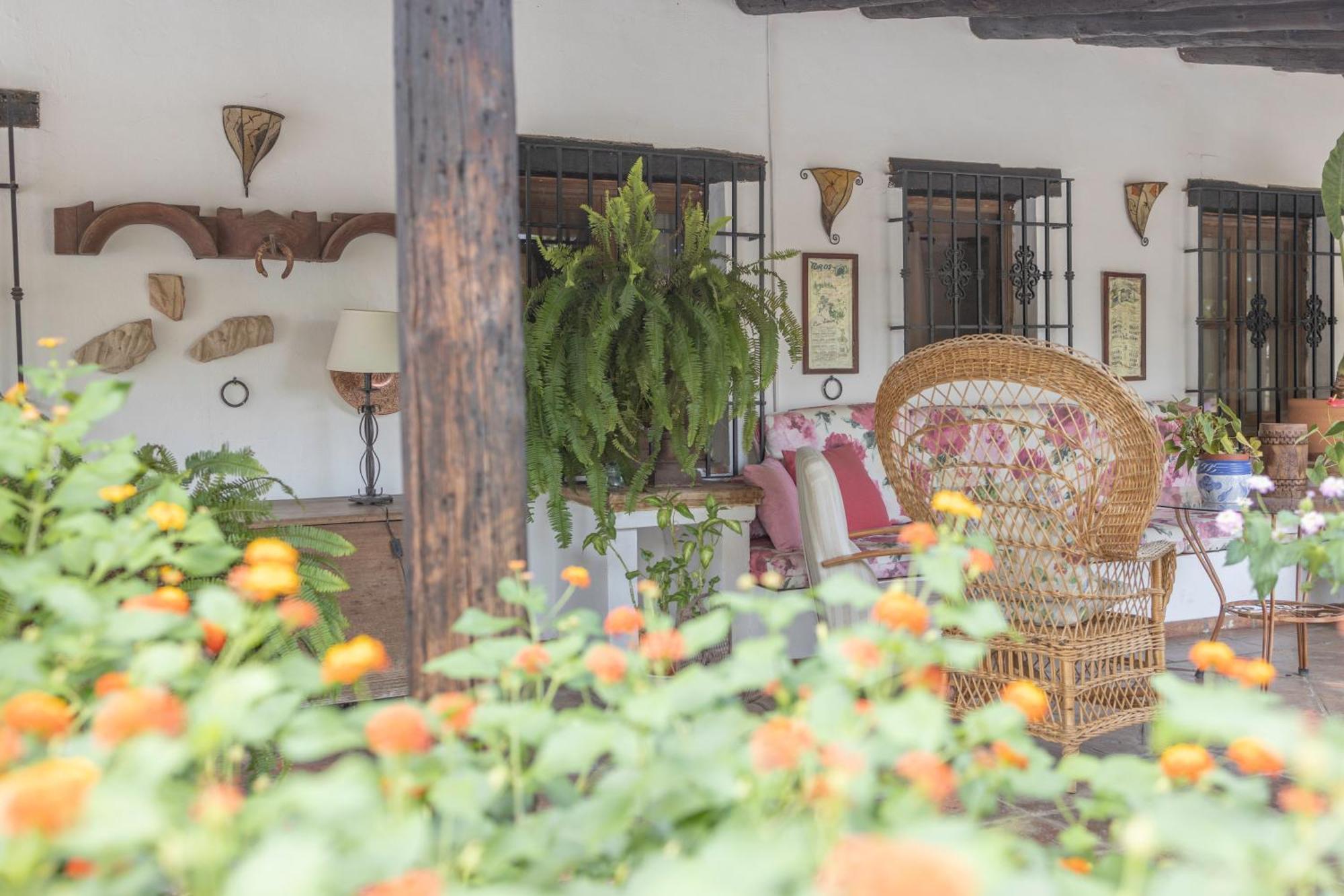 La Cuadra, Finca A Los Pies De Sierra Nevada, A 10 Minutos Del Centro, Piscina, Jardin, Barbacoa Ла Субия Екстериор снимка